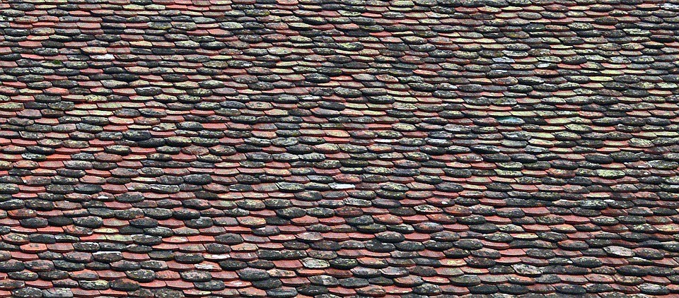 Roof Shingles 