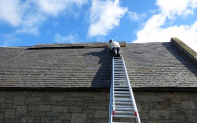 How to Repair a Roof Leak: The Step-by-Step Guide Every Homeowner Needs