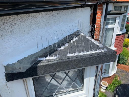 Bay Window Roof in Hove