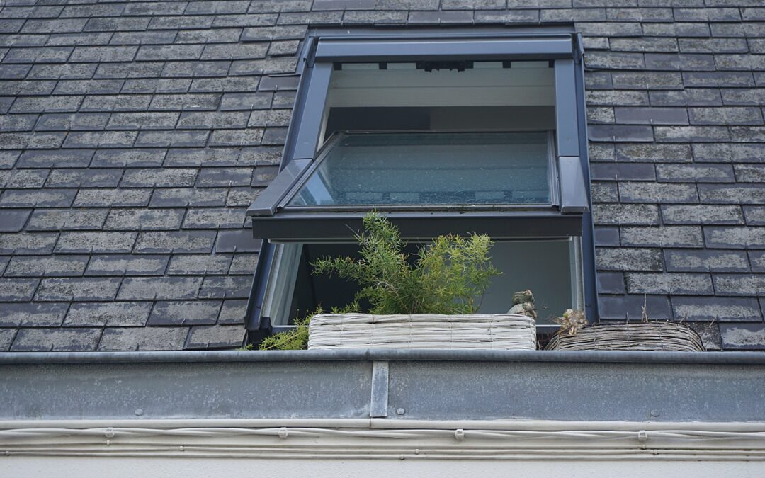 Rooftop Window